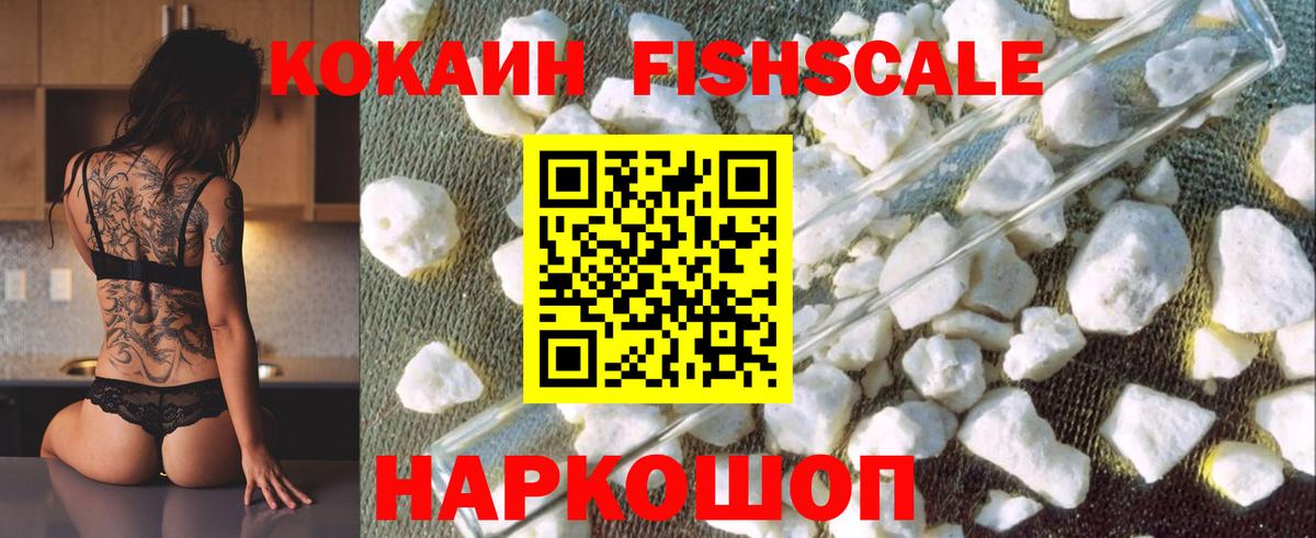 Новокубанск  COCAIN Fish Scale  COCAIN  Вход с VPN 