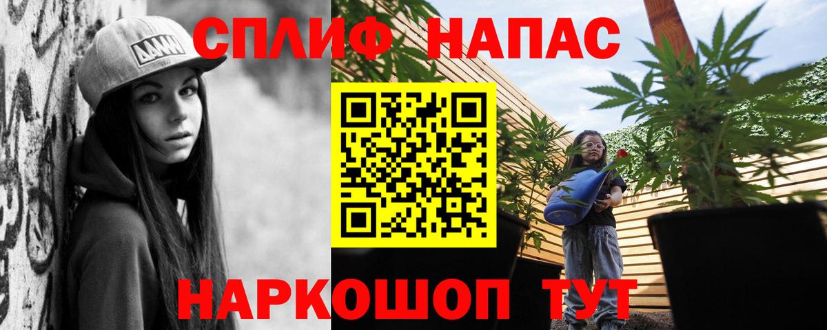 Конопля Ganja Новокубанск